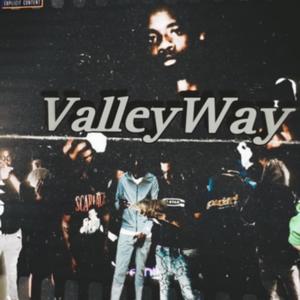 Valleyway (feat. Lil Mooney, 30stick, 0430 smoke diddy, Densavv, Kingopp Sleezus, lil9rell, LTK tank) [Explicit]