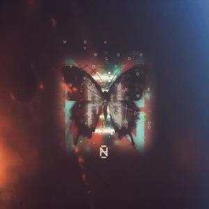 What would you do if you knew?(feat. Sidd Coutto)