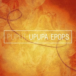 Upupa Epops