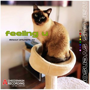 Feeling U (Nefarious Instrumental Mix)