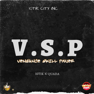 V.S.P (Vengance Skill Power)