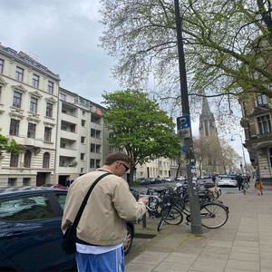 Großstadtjungle (Explicit)