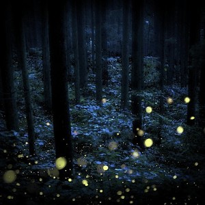 Night Gatherings (Mega Slowed)