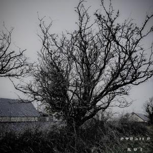 The Devil Wears Kevlar (Explicit)