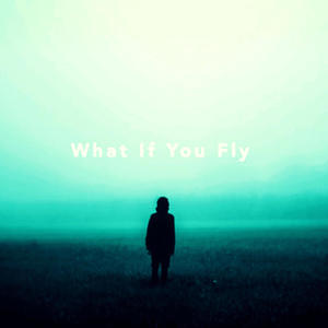 What If You Fly? (Explicit)