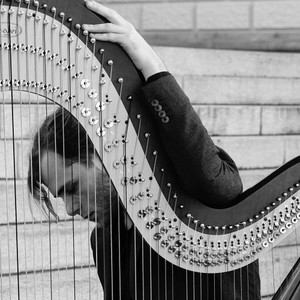 The Harp As An Orchestra