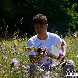 lavender (Explicit)