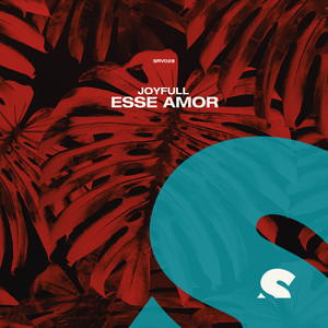Esse Amor (Original Mix)