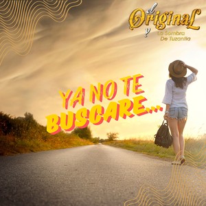 Ya No Te Buscare