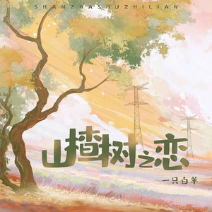 山楂树之恋DJ (1.1x版)封面