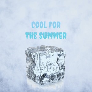 Cool For The Summer (Remix)