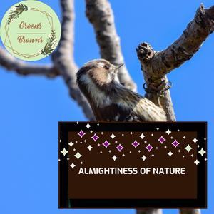 Almightiness of Nature