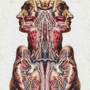 Fauces del Azar (Explicit)