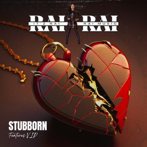 STUBBORN (Explicit)