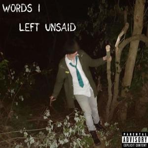 Words I Left Unsaid (Explicit)