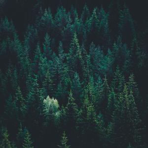 Breathe (feat. Michael Cleveland) (But with fiddle)