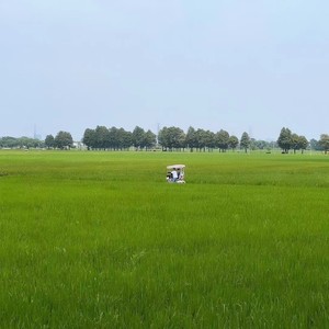 中山爱情故事