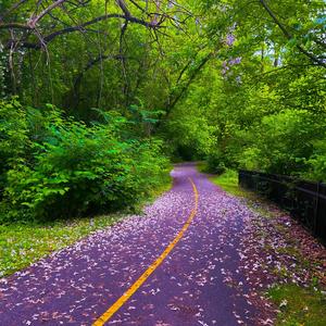 Underworld (feat. Rikkie Blaise) (Explicit)