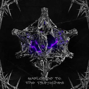 WELCOME TO THE TRENCH