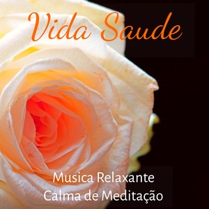 Vida Saude - Musica Relaxante Calma de Meditação para Sono Reparador Cura Vibracional e Manter A Calma com Sons Naturais Instrumentais New Age