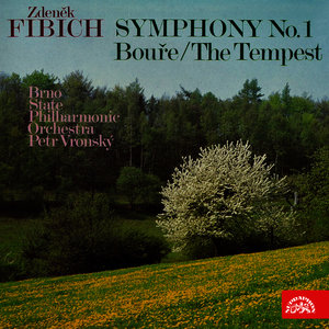 Symphony No. 1 in F Major, Op. 17: I. Allegro moderato