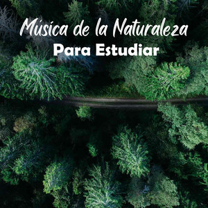Música de la Naturaleza Para Estudiar