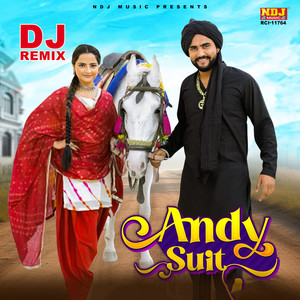 Andy Suit (DJ REMIX)