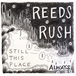 Reeds / Rush