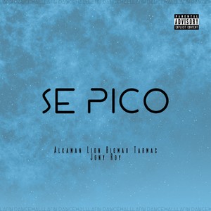 SE PICO (Explicit)