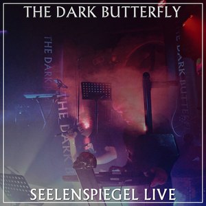 Seelenspiegel Live