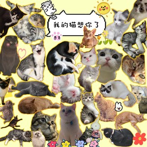 我的猫想你了 (伴奏)