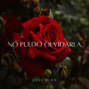 No Puedo Olvidarla (Cover)