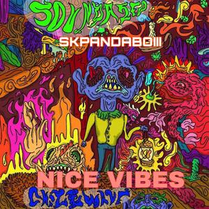 NICE VIBES (Explicit)