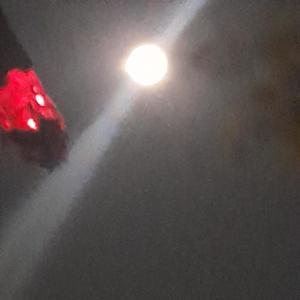 PAINFUL DREAM (feat. shaunpolitoo & iiconic) (Explicit)