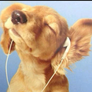 whatt did i do wrong?? (Explicit)