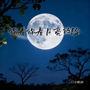 你看你看月亮的脸(月亮的脸偷偷的在改变)-小酌叔