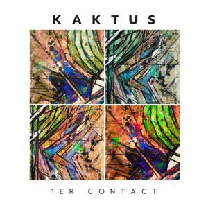 Surdose (feat. Chapaton Eric, Cerceau Jean Michel, Niau Frédéric & Doux Christian)