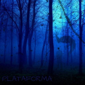 Plataforma