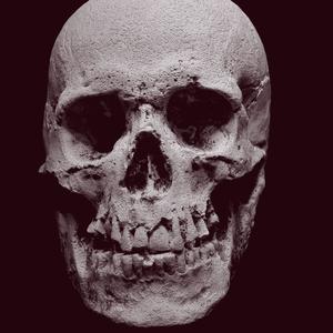 Loki Coylossus - (D)eth[M]ealer (Explicit)