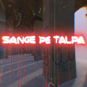 Sange Pe Talpa (Explicit)