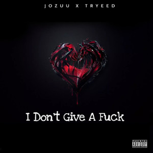 I Don't Give a **** (Explicit)