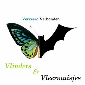 Vlinders & Vleermuisjes