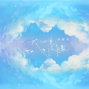 我心里也没有数