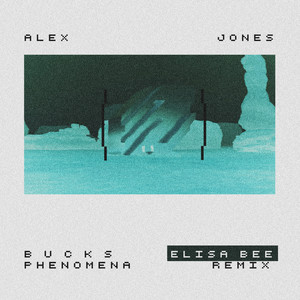 Bucks Phenomena (Elisa Bee Remix)