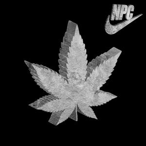 Werner Herzog (All This Jungle)