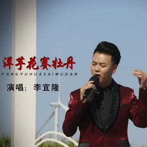 洋芋花赛牡丹 (Live)