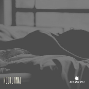 Nocturnal (Last Round Mix)