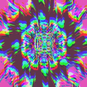 Shining in the Darks