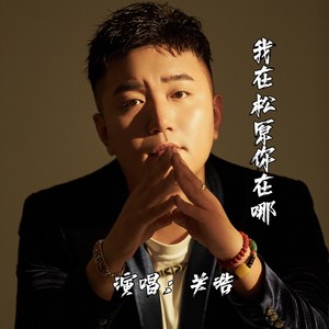 爱在远方DJ版 (Remix)