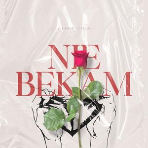nie bekam (feat. Dani09) (Explicit)